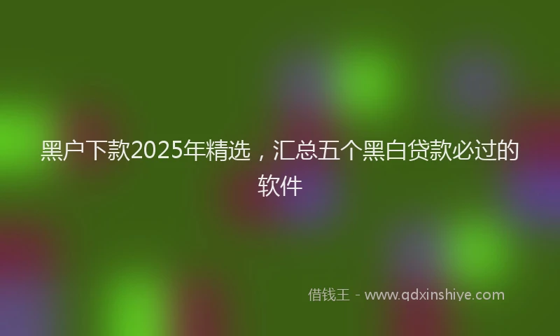 黑户下款2025年精选，汇总五个黑白贷款必过的软件