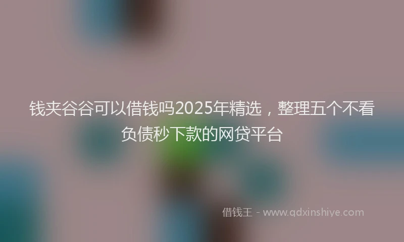 钱夹谷谷可以借钱吗2025年精选，整理五个不看负债秒下款的网贷平台