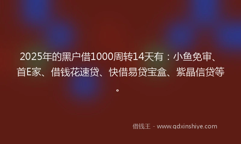 2025年的黑户借1000周转14天有：小鱼免审、首E家、借钱花速贷、快借易贷宝盒、紫晶信贷等。