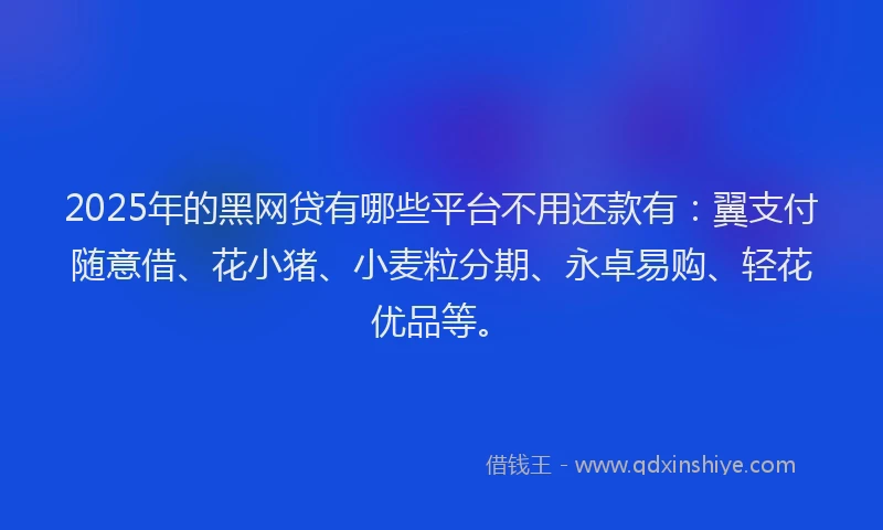 2025年的黑网贷有哪些平台不用还款有：翼支付随意借、花小猪、小麦粒分期、永卓易购、轻花优品等。
