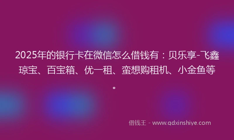 2025年的银行卡在微信怎么借钱有：贝乐享-飞鑫琼宝、百宝箱、优一租、蛮想购租机、小金鱼等。
