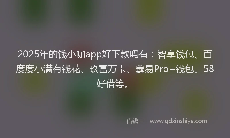 2025年的钱小咖app好下款吗有：智享钱包、百度度小满有钱花、玖富万卡、鑫易Pro+钱包、58好借等。