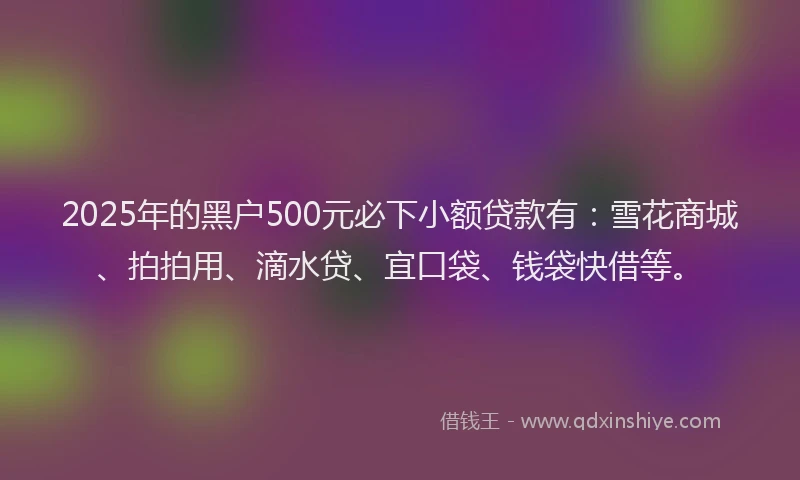 2025年的黑户500元必下小额贷款有：雪花商城、拍拍用、滴水贷、宜口袋、钱袋快借等。
