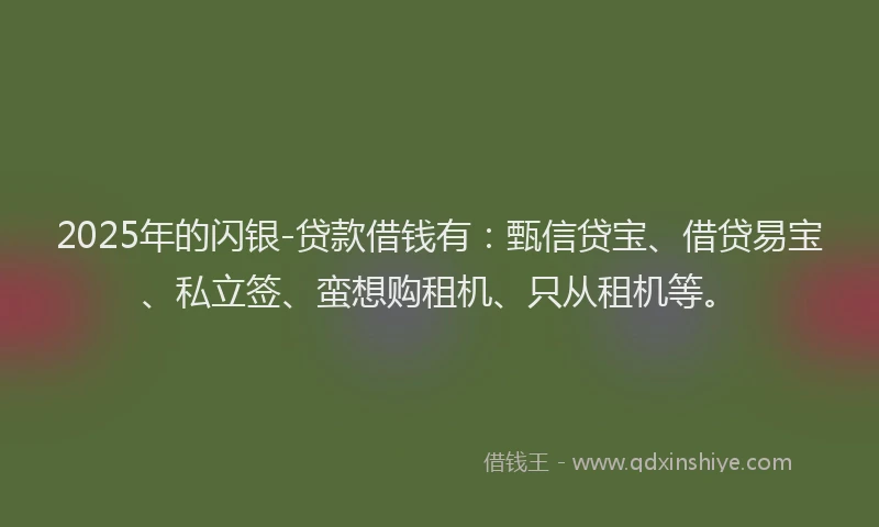 2025年的闪银-贷款借钱有：甄信贷宝、借贷易宝、私立签、蛮想购租机、只从租机等。