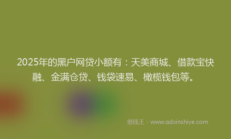 2025年的黑户网贷小额有：天美商城、借款宝快融、金满仓贷、钱袋速易、橄榄钱包等。