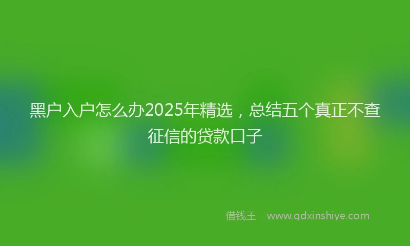 黑户入户怎么办2025年精选，总结五个真正不查征信的贷款口子