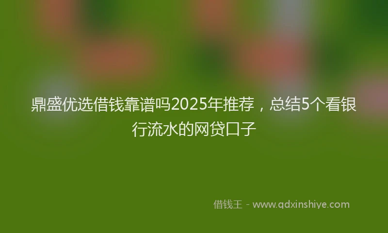 鼎盛优选借钱靠谱吗2025年推荐，总结5个看银行流水的网贷口子