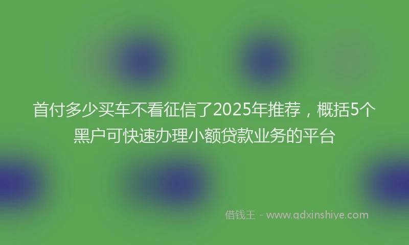 首付多少买车不看征信了2025年推荐，概括5个黑户可快速办理小额贷款业务的平台