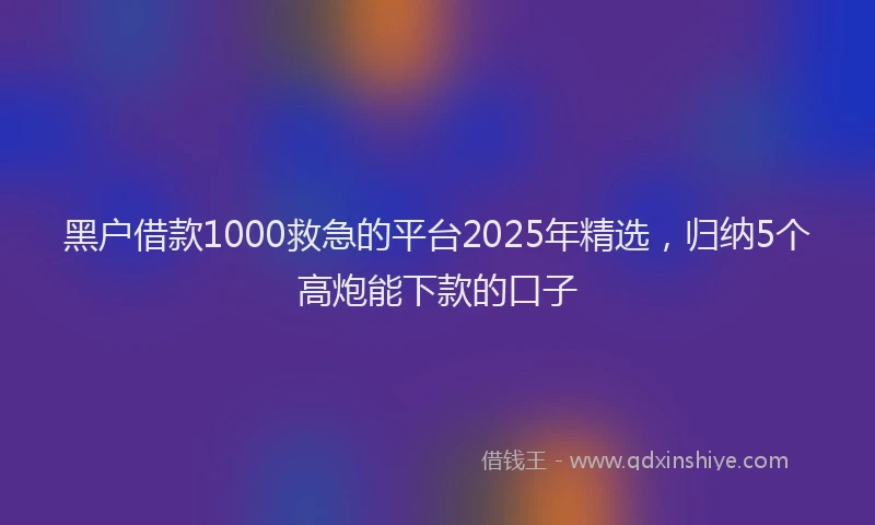 黑户借款1000救急的平台2025年精选，归纳5个高炮能下款的口子