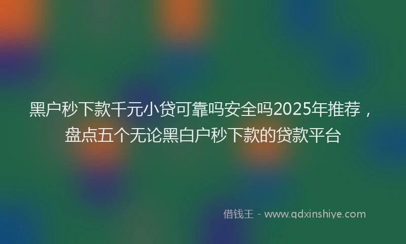 黑户秒下款千元小贷可靠吗安全吗2025年推荐，盘点五个无论黑白户秒下款的贷款平台
