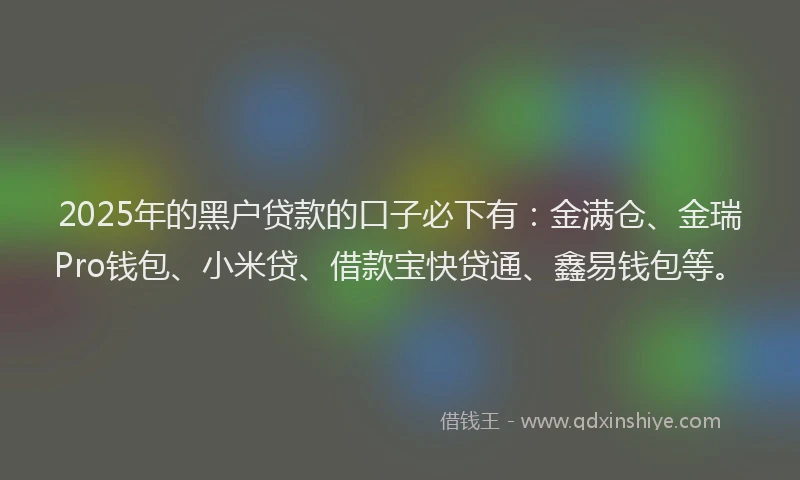 2025年的黑户贷款的口子必下有：金满仓、金瑞Pro钱包、小米贷、借款宝快贷通、鑫易钱包等。