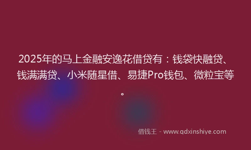 2025年的马上金融安逸花借贷有：钱袋快融贷、钱满满贷、小米随星借、易捷Pro钱包、微粒宝等。