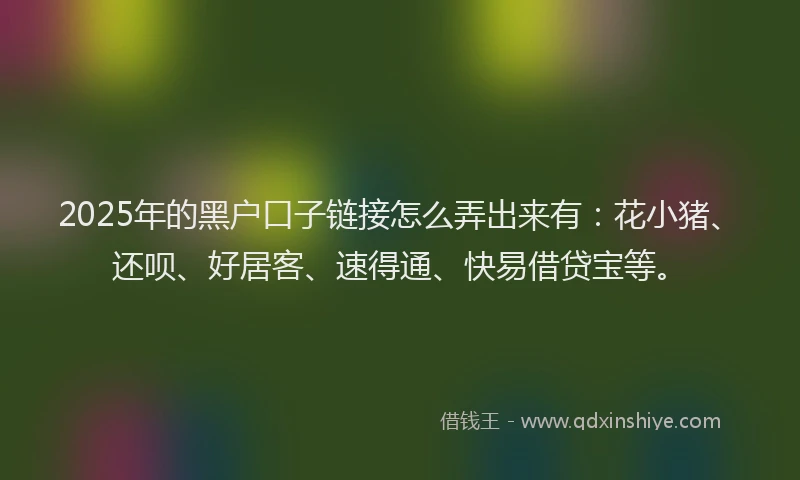 2025年的黑户口子链接怎么弄出来有：花小猪、还呗、好居客、速得通、快易借贷宝等。