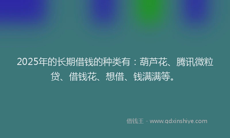 2025年的长期借钱的种类有：葫芦花、腾讯微粒贷、借钱花、想借、钱满满等。