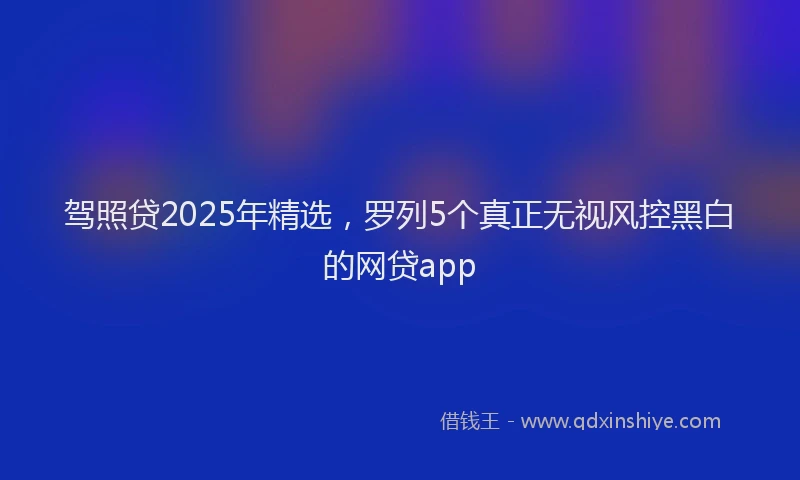 驾照贷2025年精选，罗列5个真正无视风控黑白的网贷app