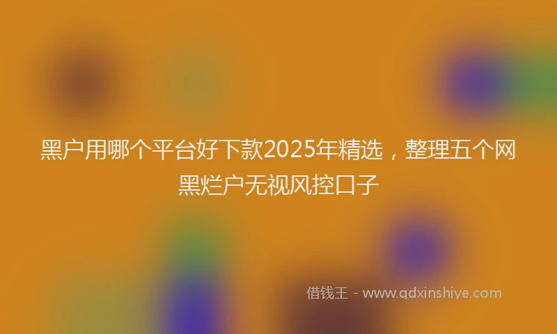 黑户用哪个平台好下款2025年精选，整理五个网黑烂户无视风控口子