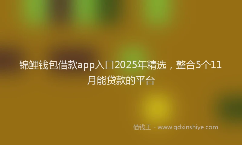 锦鲤钱包借款app入口2025年精选，整合5个11月能贷款的平台