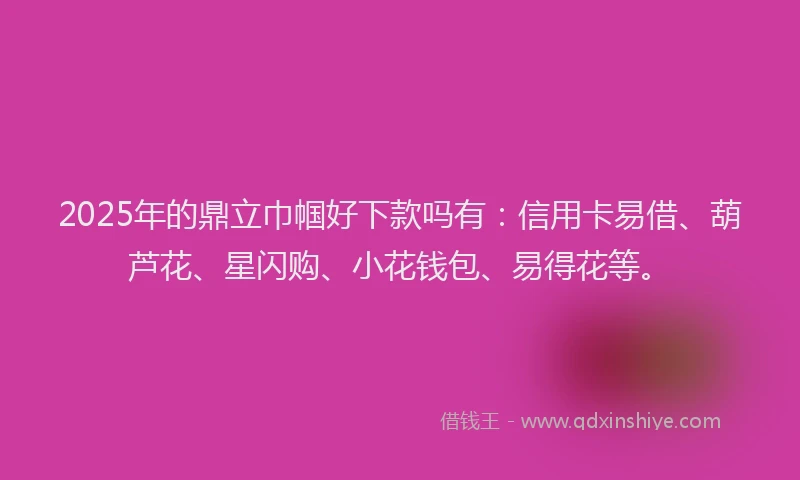 2025年的鼎立巾帼好下款吗有：信用卡易借、葫芦花、星闪购、小花钱包、易得花等。
