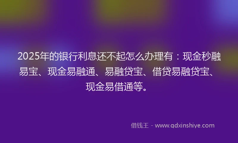 2025年的银行利息还不起怎么办理有：现金秒融易宝、现金易融通、易融贷宝、借贷易融贷宝、现金易借通等。