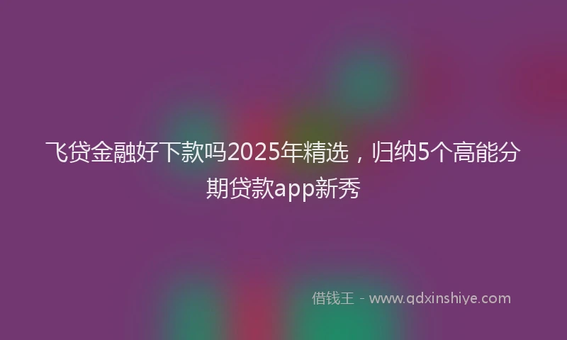 飞贷金融好下款吗2025年精选，归纳5个高能分期贷款app新秀