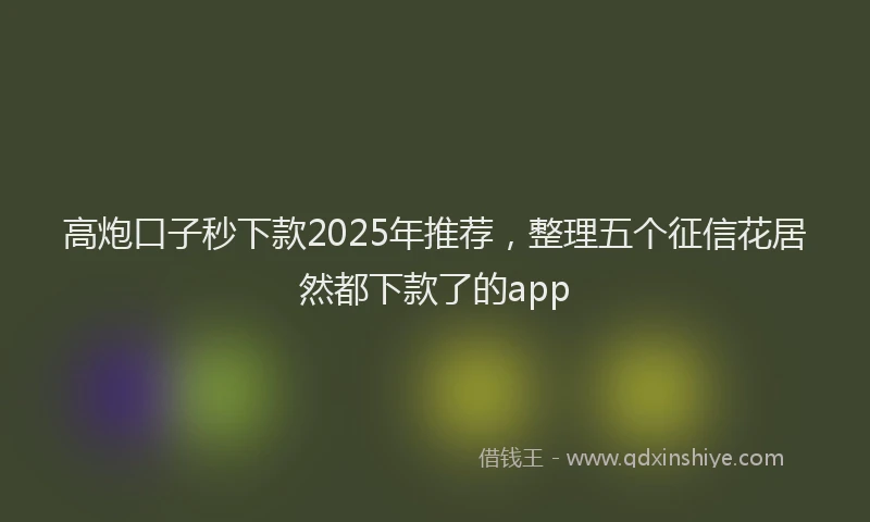 高炮口子秒下款2025年推荐，整理五个征信花居然都下款了的app