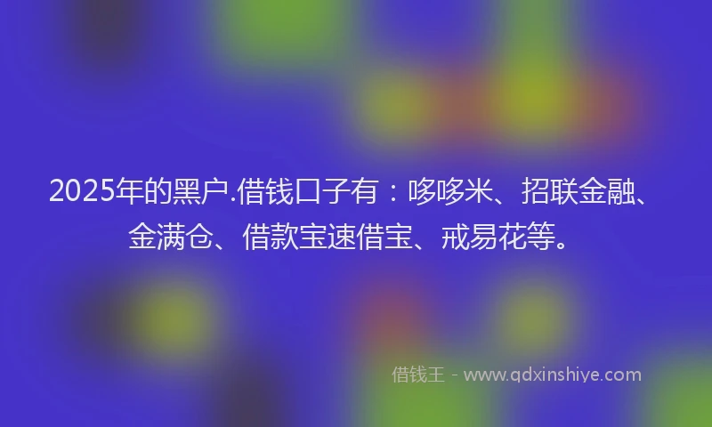 2025年的黑户.借钱口子有：哆哆米、招联金融、金满仓、借款宝速借宝、戒易花等。