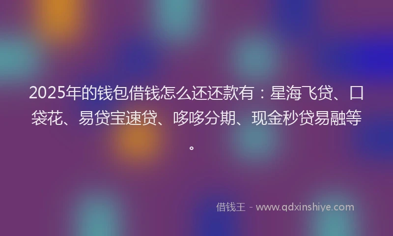 2025年的钱包借钱怎么还还款有：星海飞贷、口袋花、易贷宝速贷、哆哆分期、现金秒贷易融等。