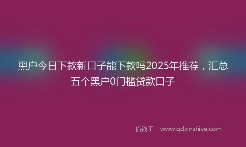 黑户今日下款新口子能下款吗2025年推荐，汇总五个黑户0门槛贷款口子