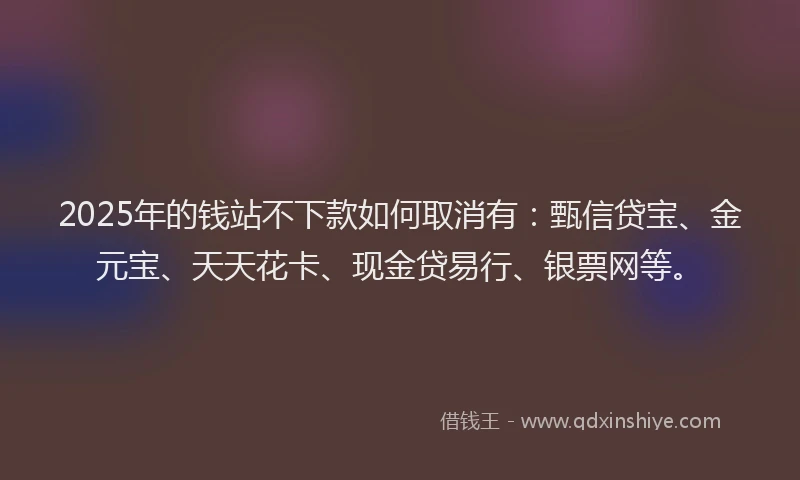 2025年的钱站不下款如何取消有：甄信贷宝、金元宝、天天花卡、现金贷易行、银票网等。