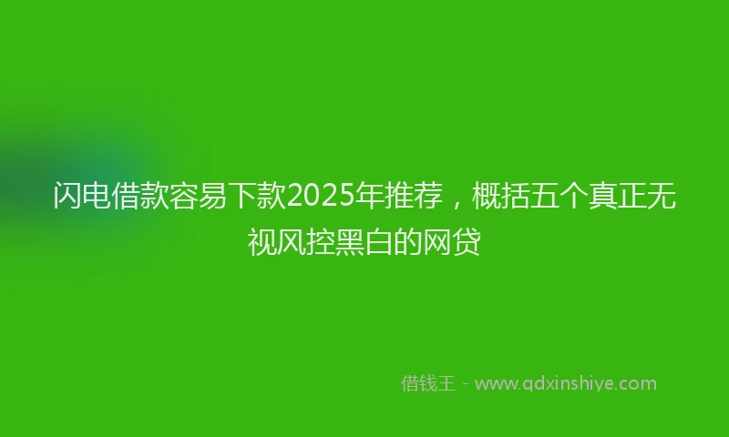 闪电借款容易下款2025年推荐，概括五个真正无视风控黑白的网贷