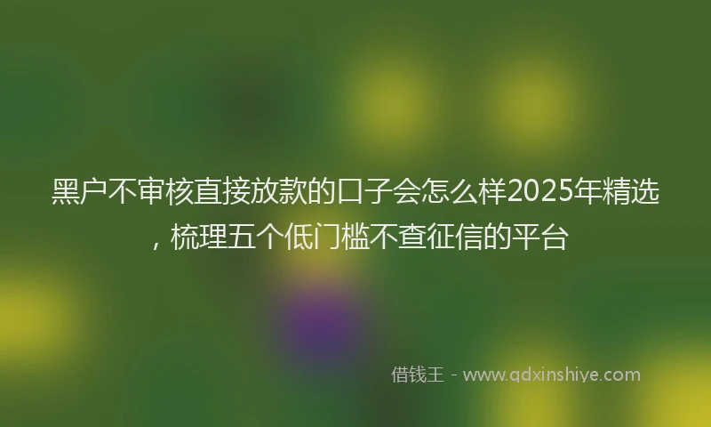 黑户不审核直接放款的口子会怎么样2025年精选，梳理五个低门槛不查征信的平台