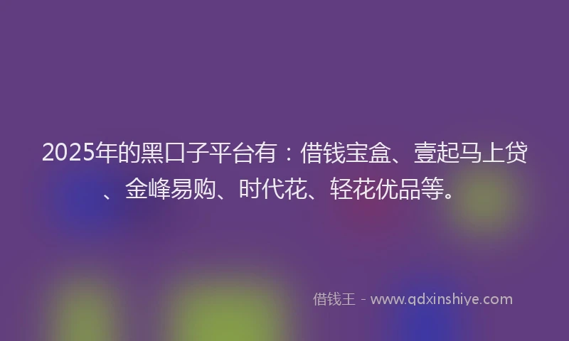 2025年的黑口子平台有：借钱宝盒、壹起马上贷、金峰易购、时代花、轻花优品等。