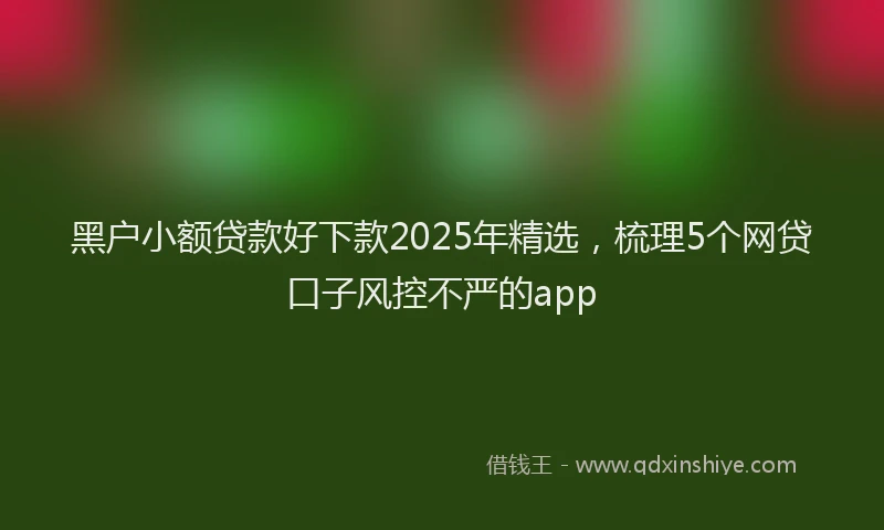 黑户小额贷款好下款2025年精选，梳理5个网贷口子风控不严的app