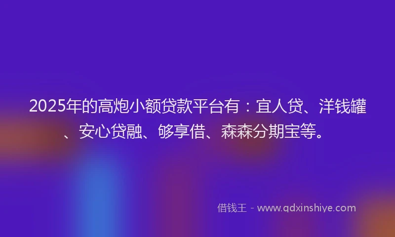 2025年的高炮小额贷款平台有：宜人贷、洋钱罐、安心贷融、够享借、森森分期宝等。
