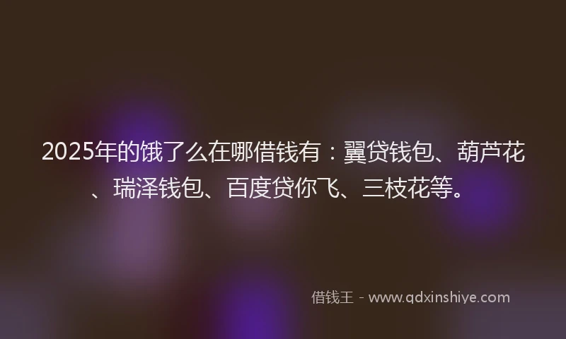 2025年的饿了么在哪借钱有：翼贷钱包、葫芦花、瑞泽钱包、百度贷你飞、三枝花等。