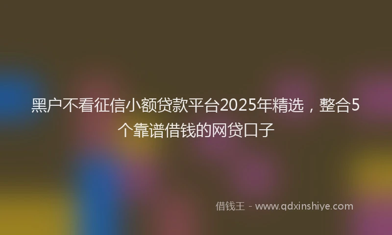 黑户不看征信小额贷款平台2025年精选，整合5个靠谱借钱的网贷口子