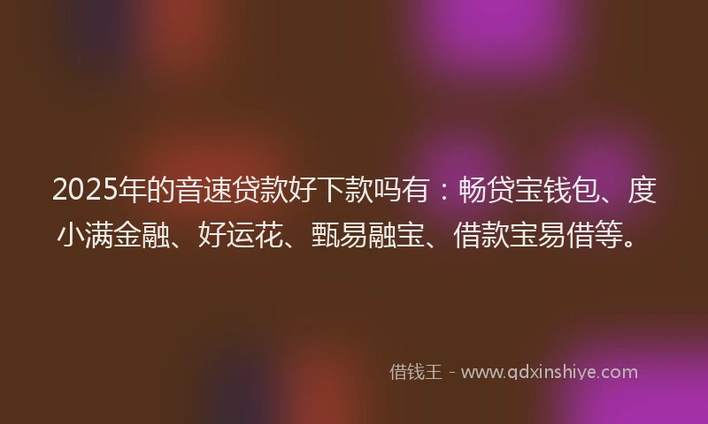 2025年的音速贷款好下款吗有：畅贷宝钱包、度小满金融、好运花、甄易融宝、借款宝易借等。