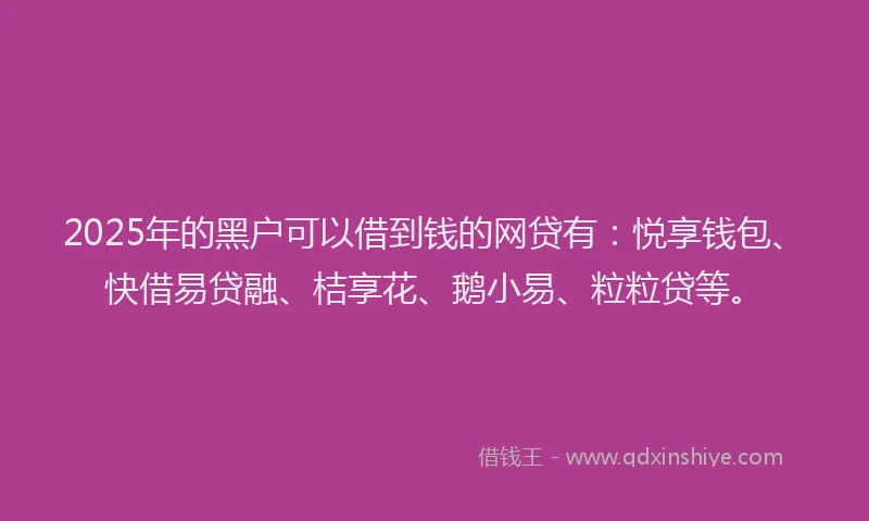 2025年的黑户可以借到钱的网贷有：悦享钱包、快借易贷融、桔享花、鹅小易、粒粒贷等。