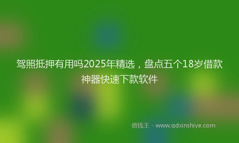 驾照抵押有用吗2025年精选，盘点五个18岁借款神器快速下款软件