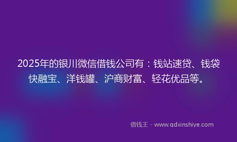 2025年的银川微信借钱公司有：钱站速贷、钱袋快融宝、洋钱罐、沪商财富、轻花优品等。