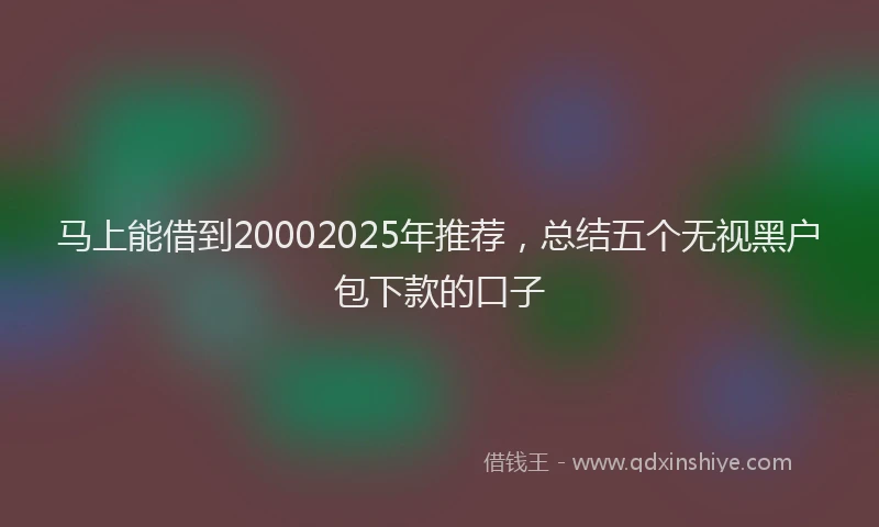 马上能借到20002025年推荐，总结五个无视黑户包下款的口子