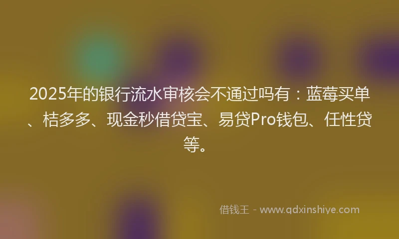2025年的银行流水审核会不通过吗有：蓝莓买单、桔多多、现金秒借贷宝、易贷Pro钱包、任性贷等。