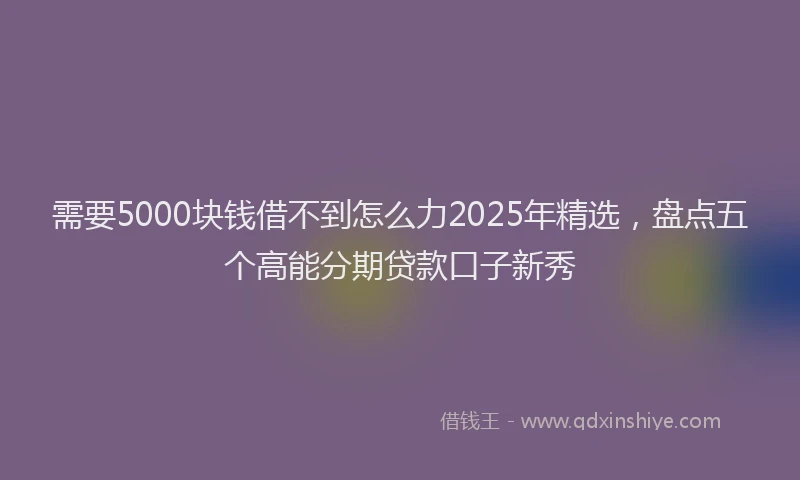 需要5000块钱借不到怎么力2025年精选，盘点五个高能分期贷款口子新秀