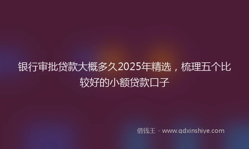 银行审批贷款大概多久2025年精选，梳理五个比较好的小额贷款口子