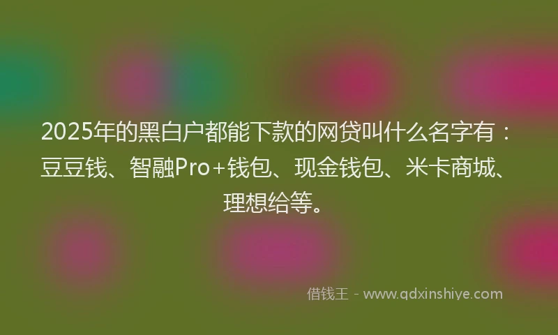 2025年的黑白户都能下款的网贷叫什么名字有：豆豆钱、智融Pro+钱包、现金钱包、米卡商城、理想给等。