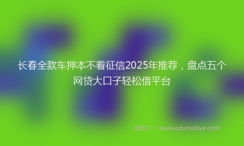 长春全款车押本不看征信2025年推荐，盘点五个网贷大口子轻松借平台
