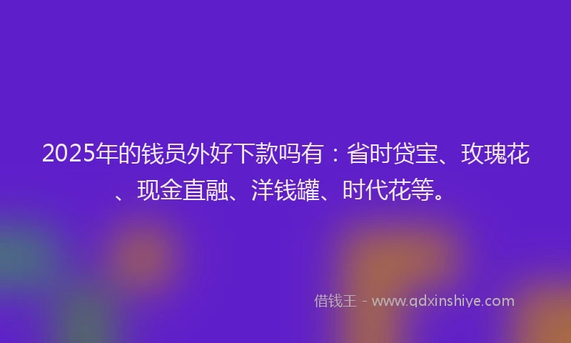 2025年的钱员外好下款吗有：省时贷宝、玫瑰花、现金直融、洋钱罐、时代花等。