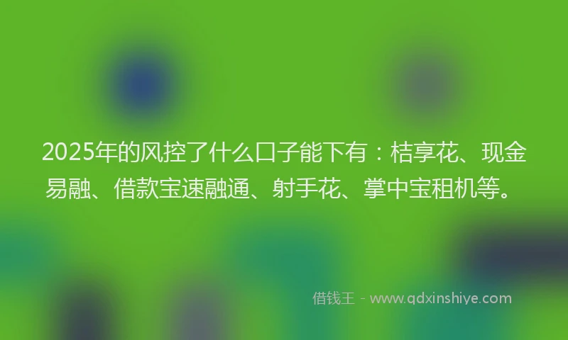 2025年的风控了什么口子能下有：桔享花、现金易融、借款宝速融通、射手花、掌中宝租机等。