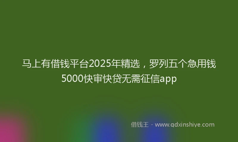 马上有借钱平台2025年精选，罗列五个急用钱5000快审快贷无需征信app