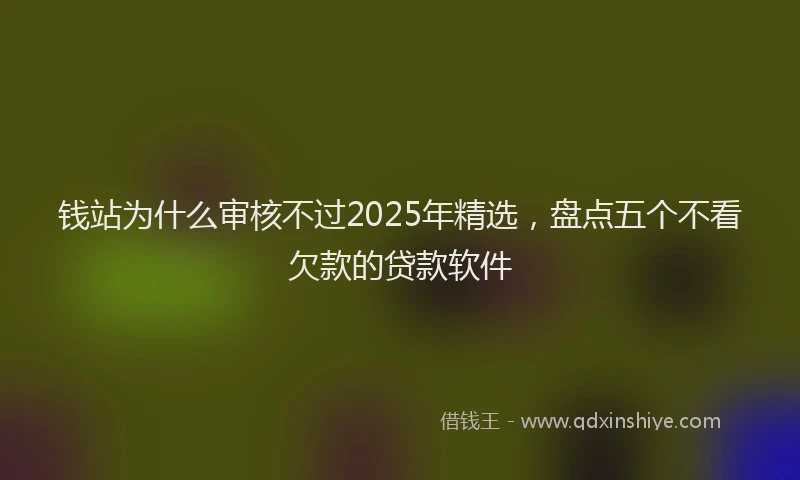 钱站为什么审核不过2025年精选，盘点五个不看欠款的贷款软件